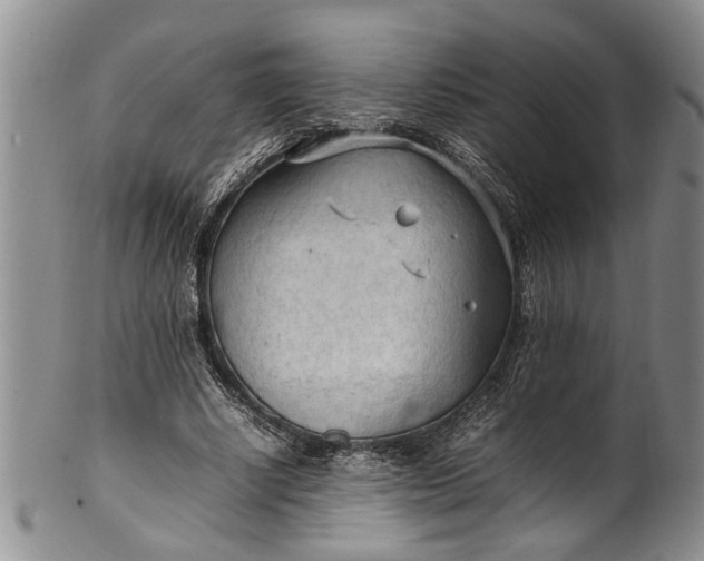 X0000102250634200808081411