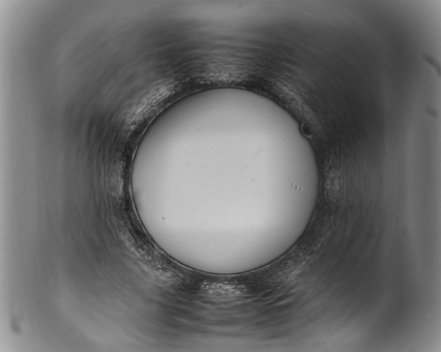 X0000102250635200808081411