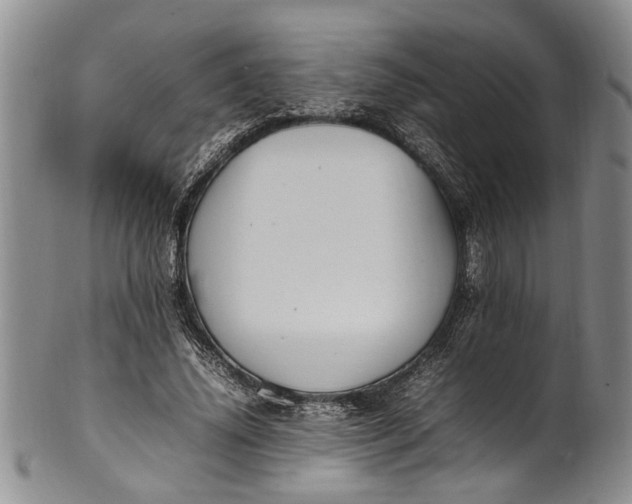 X0000102250636200808081411