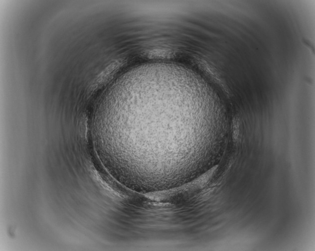 X0000102250637200808081411