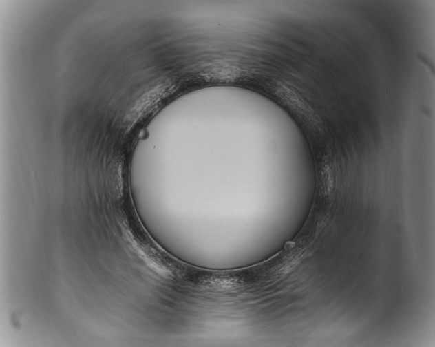 X0000102250638200808081411