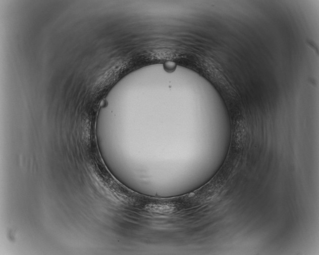 X0000102250639200808081411