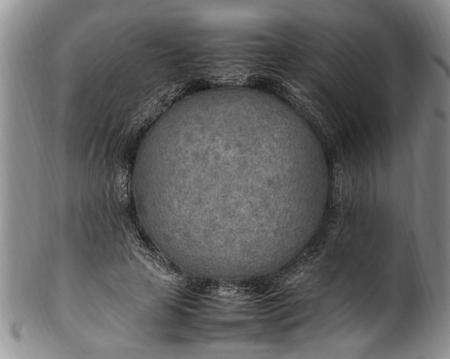 X0000102250641200808081412