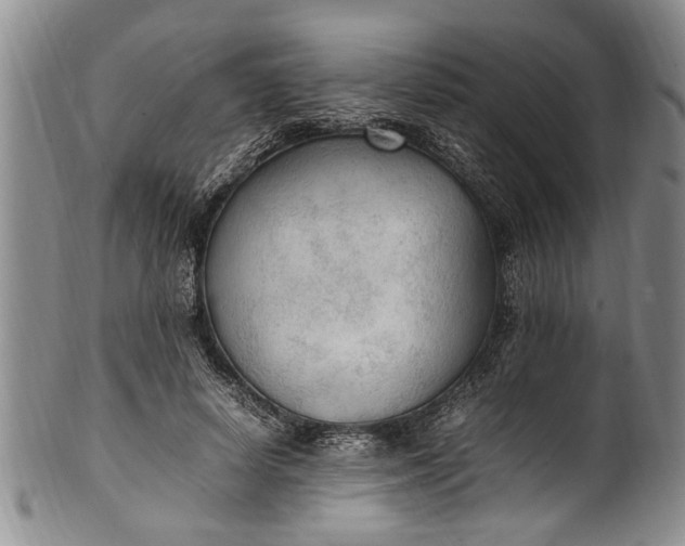 X0000102250642200808081412