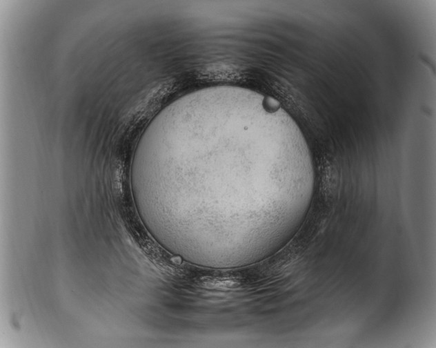 X0000102250643200808081412