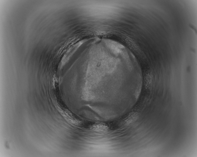 X0000102250644200808081412