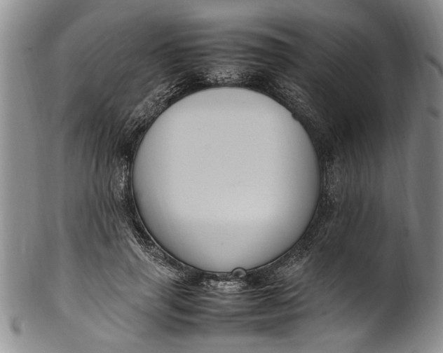 X0000102250645200808081412