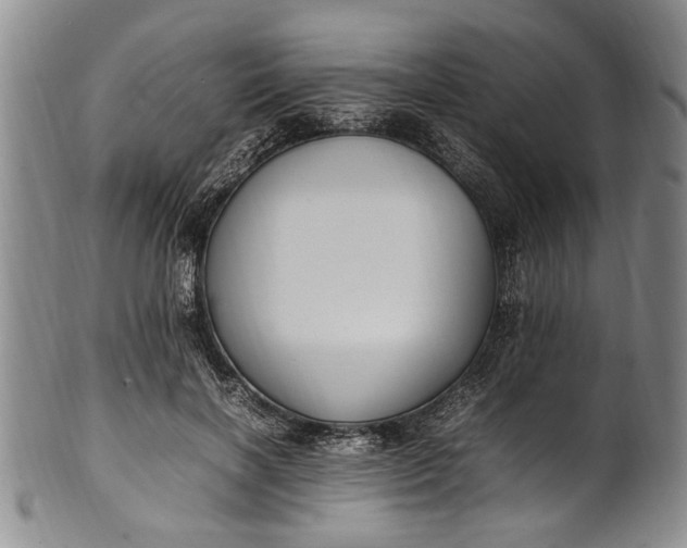 X0000102250646200808081412