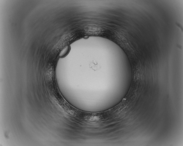 X0000102250647200808081412