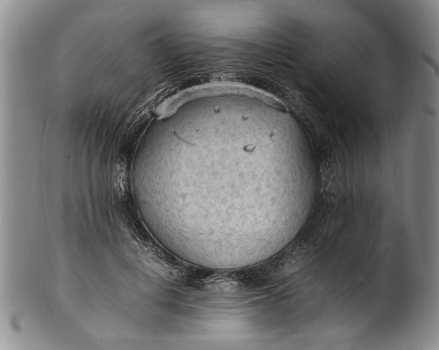 X0000102250648200808081412