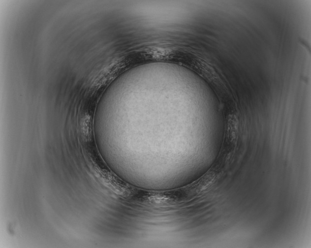 X0000102250650200808081412