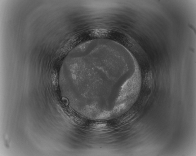 X0000102250651200808081412