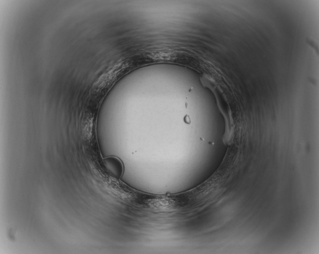 X0000102250652200808081412