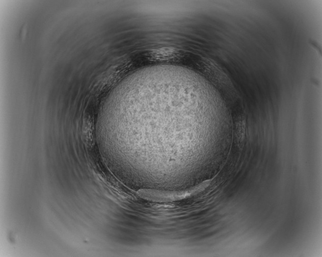 X0000102250653200808081412