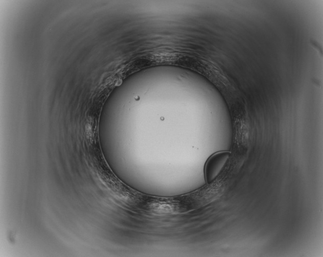 X0000102250655200808081412