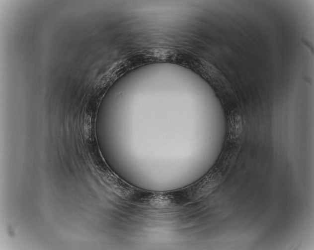 X0000102250656200808081412