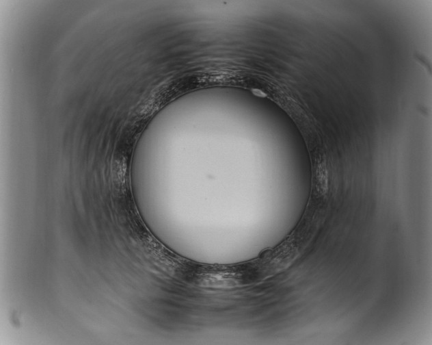 X0000102250657200808081412