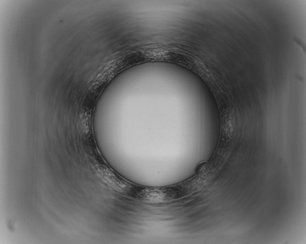 X0000102250658200808081412