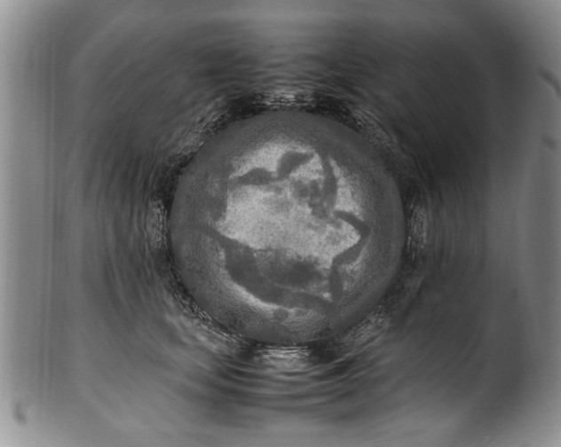 X0000102250659200808081412