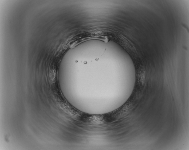 X0000102250660200808081412