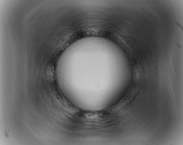 X0000102250661200808081412