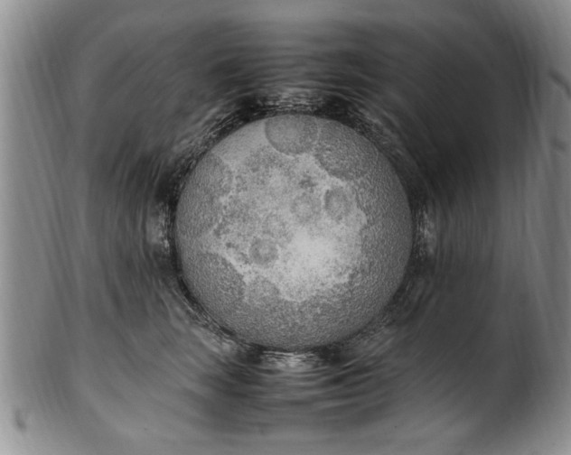 X0000102250663200808081412