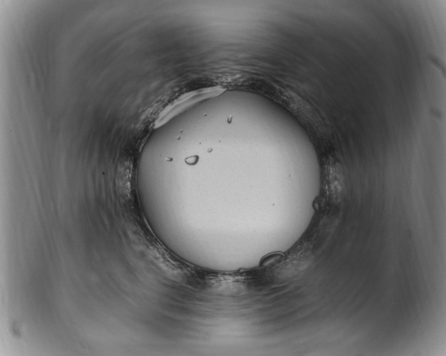 X0000102250664200808081412