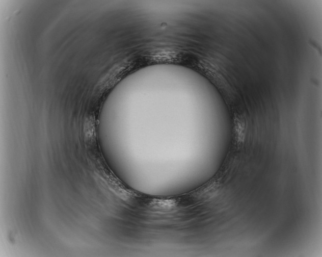 X0000102250665200808081412