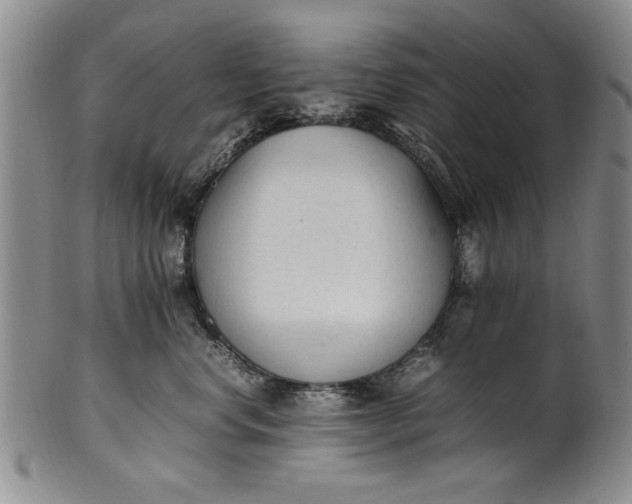 X0000102250668200808081412