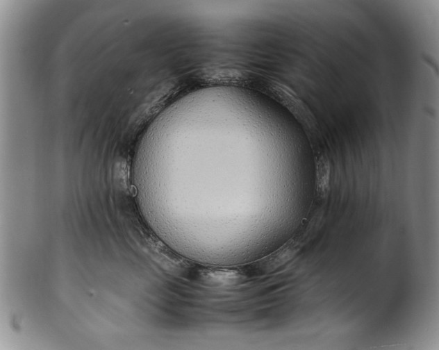 X0000102250669200808081412