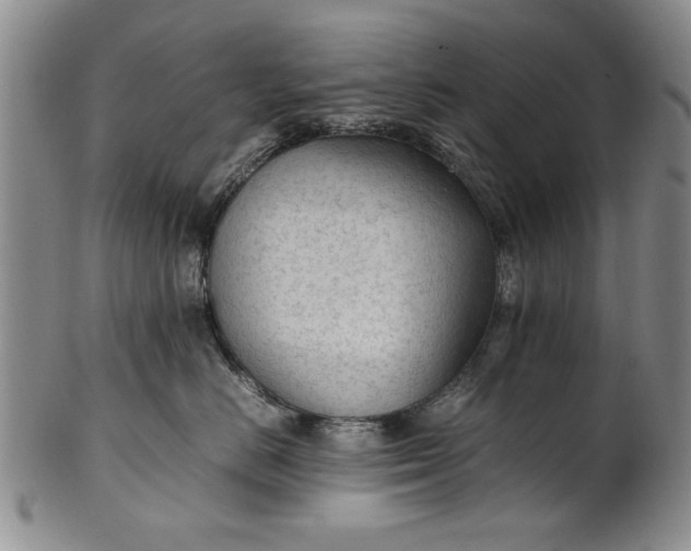 X0000102250670200808081412