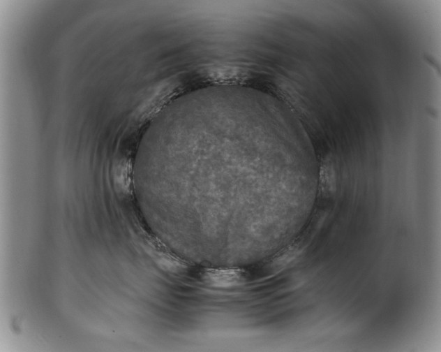 X0000102250671200808081412