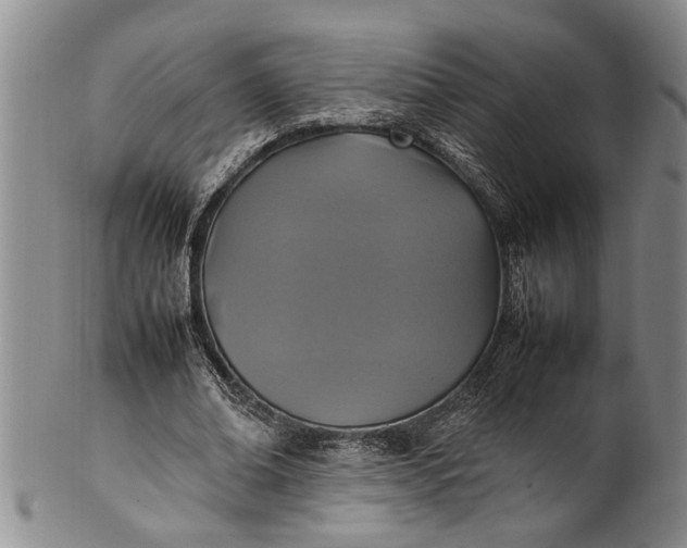 X0000102250678200808081411