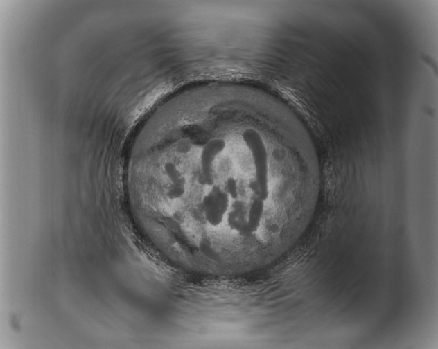 X0000102250679200808081411