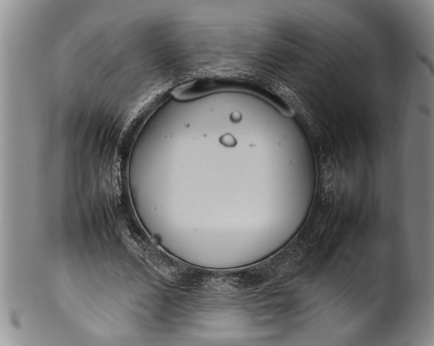 X0000102250680200808081411