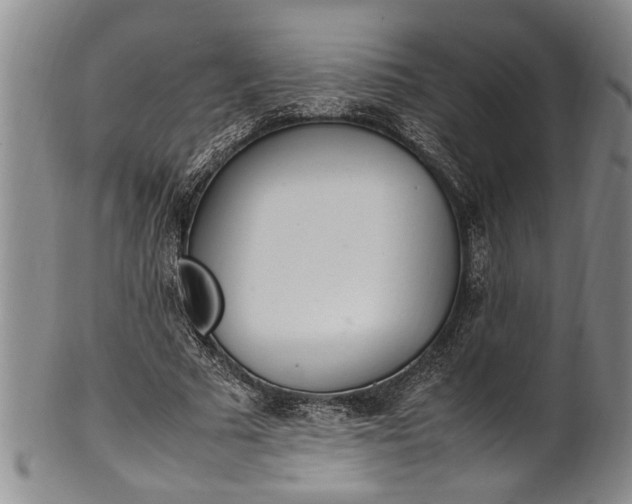 X0000102250681200808081411