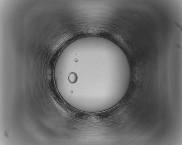 X0000102250683200808081411