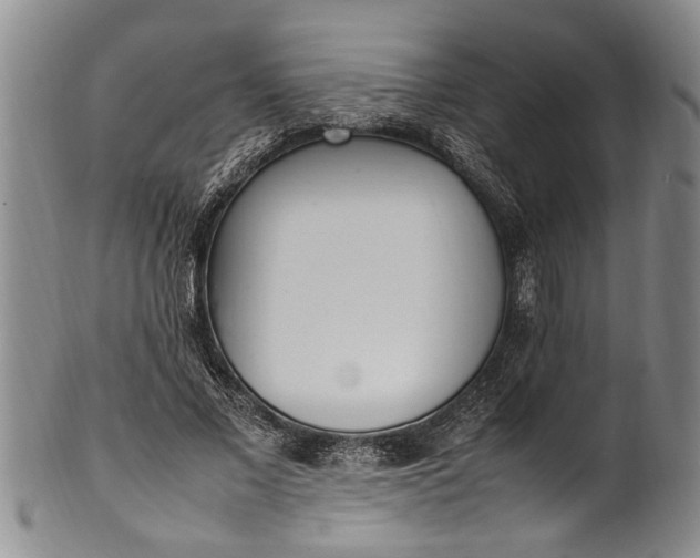 X0000102250685200808081411