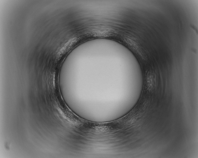 X0000102250686200808081411