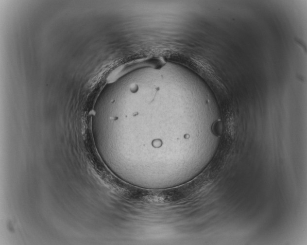 X0000102250687200808081411