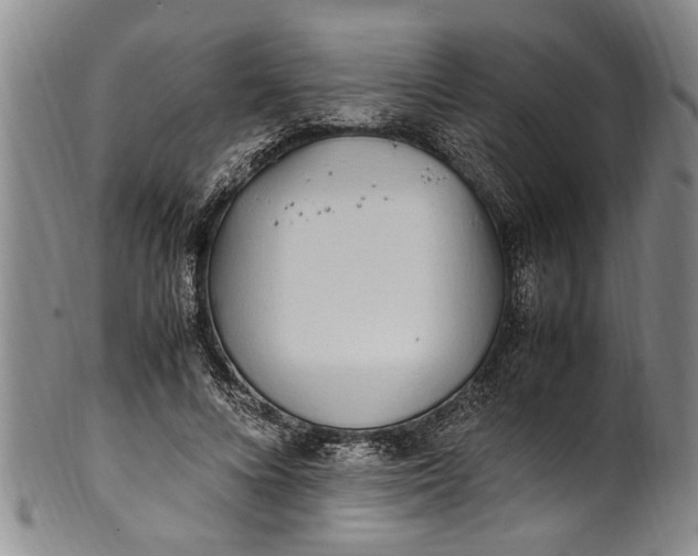 X0000102250688200808081411