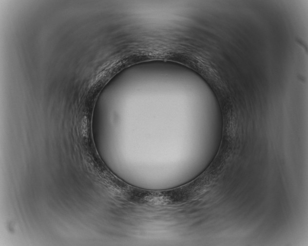 X0000102250689200808081411