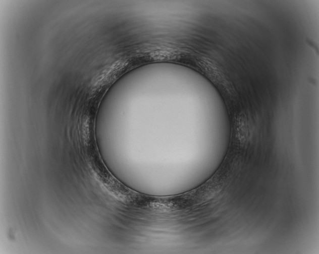 X0000102250690200808081411