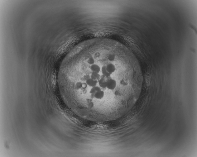 X0000102250691200808081411