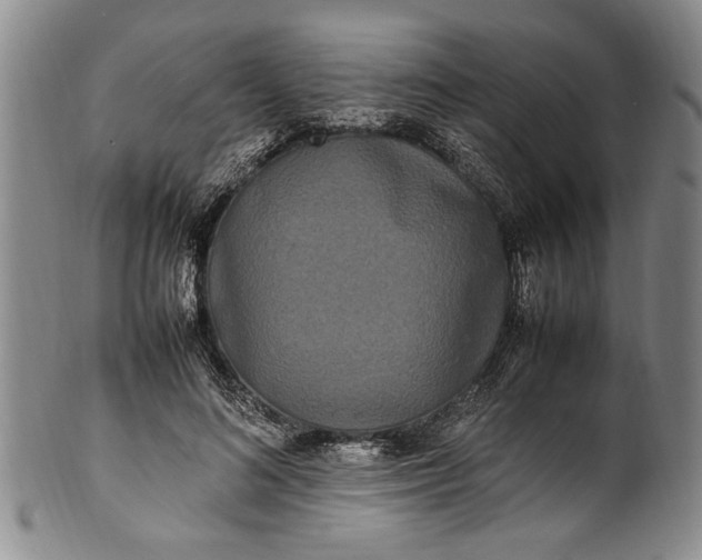 X0000102250692200808081411