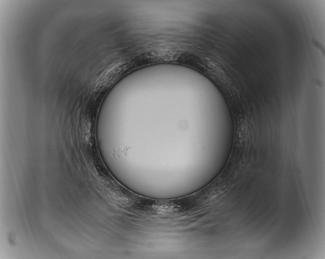 X0000102250693200808081411