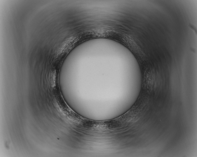 X0000102250694200808081411