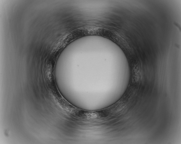 X0000102250698200808081411