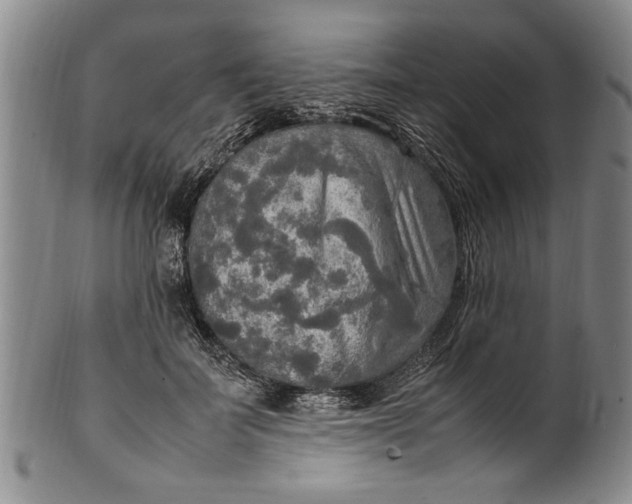 X0000102250699200808081411