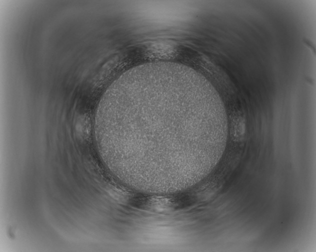 X0000102250701200808081411